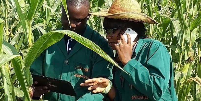 Agribusiness made easy through the use of ICT