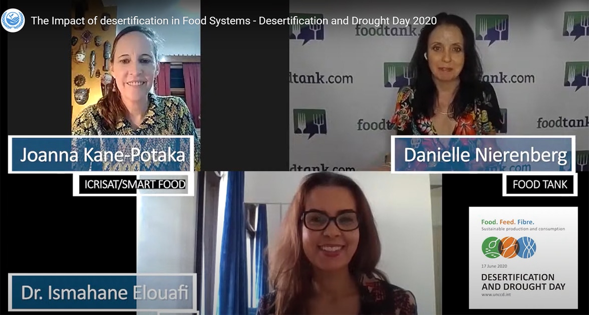 A screenshot of the virtual panel discussion between Ms Joanne Kane-Potaka, Assistant Director General, ICRISAT; Ms Danielle Nierenberg, President, Food Tank and Dr Ismahane Elouafi, Director General, International Center for Biosaline Agriculture.