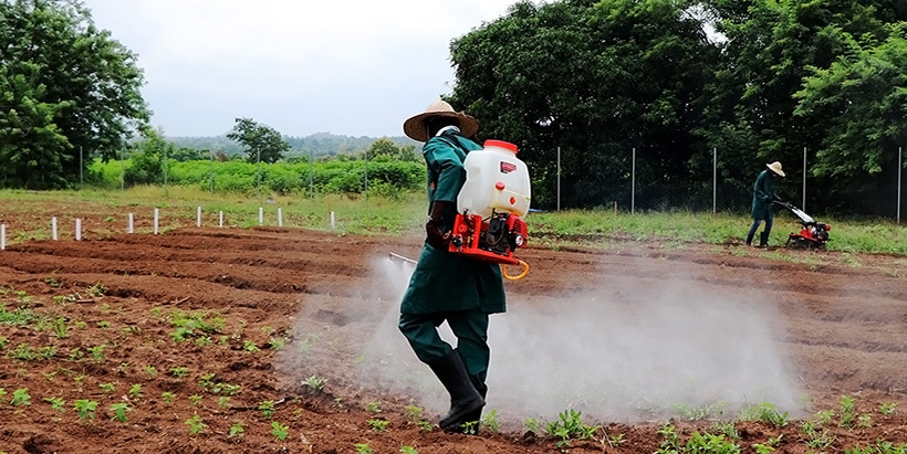 IITA launches Agribusiness Training Program for secondary schools in Oyo State