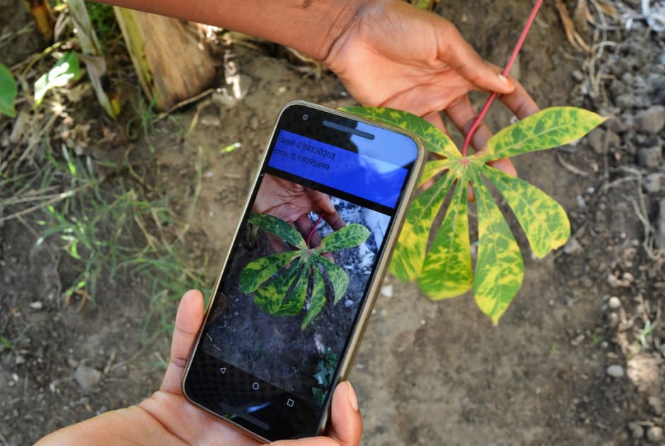 Artificial intelligence: A game-changer for agriculture in Africa