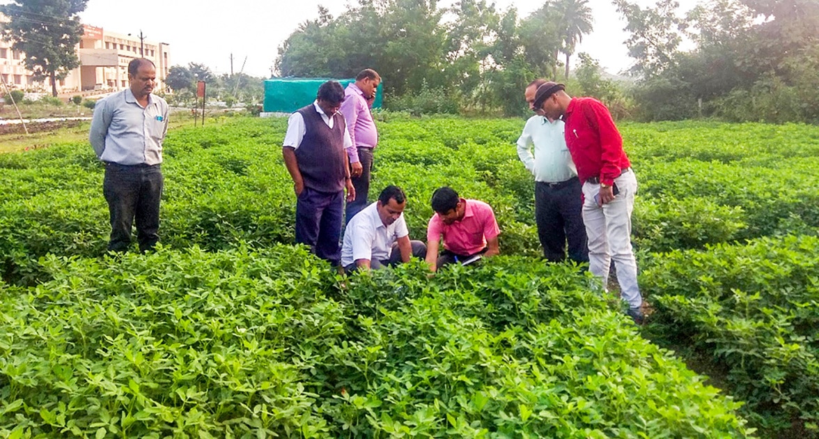 Dr Shrikant L Sawargonkar, IGKV, observing state multilocation trials in Raipur (2019)