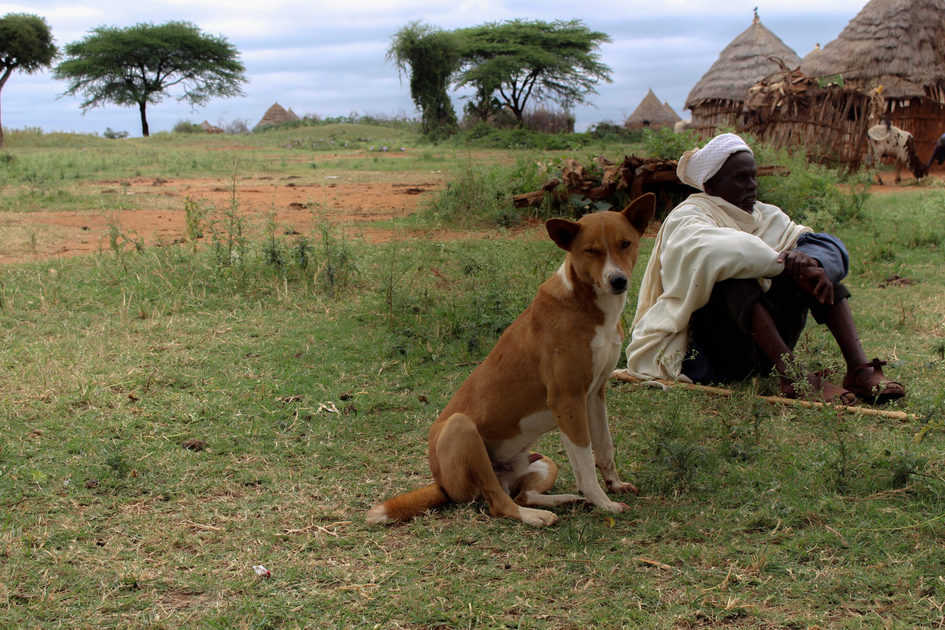 A pastor and his dog, Yabello, Ethiopia, (photo credit: ILRI/ Camille Hanotte).