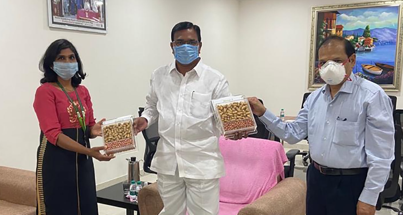 ICRISAT scientists Dr Janila Pasupuleti (L) and Dr Pooran Gaur (R) presenting packs of two new groundnut varieties to the Minister for Agriculture Singireddy Niranjan Reddy (center) in Hyderabad on August 4, 2020. Photo: ICRISAT