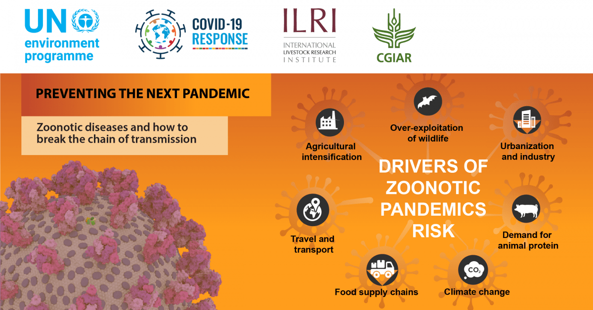 The seven deadly drivers of zoonotic disease pandemics - CGIAR