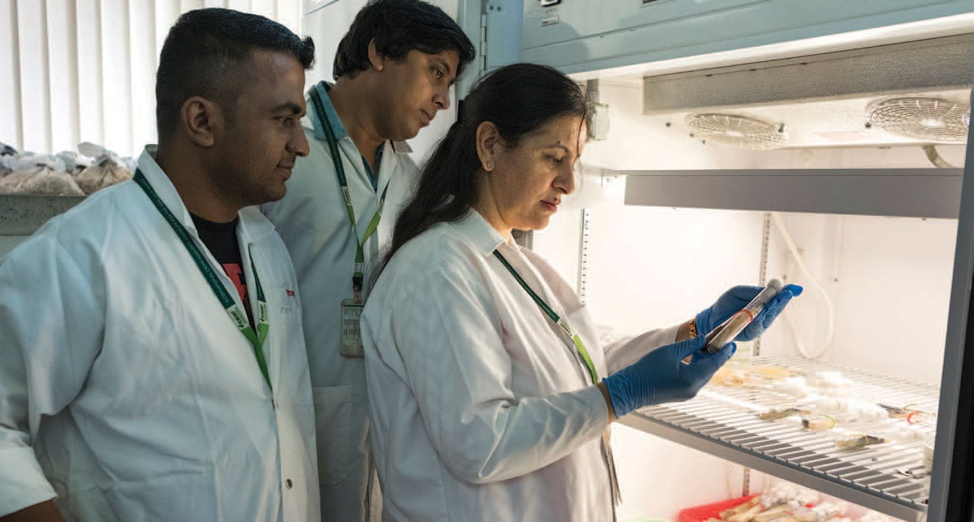 File photo of Dr Mamta Sharma and her team at work in the pathogen lab. Photo: S Punna, ICRISAT