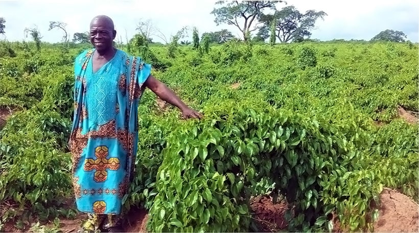 Chief Joshua Ojedele in his Agunrege farm