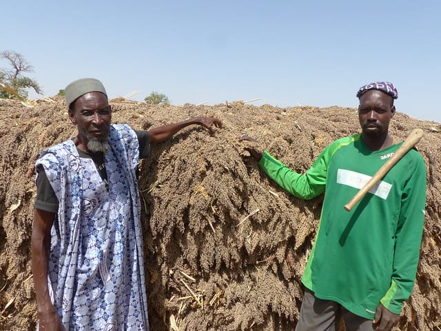 AVISA: Farmers from Mali next to their sorghum harvest.