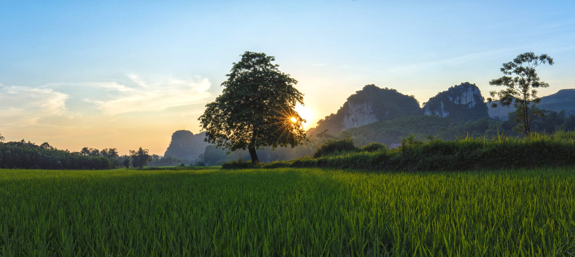 Landscape in Hoa Binh province, northwest of Vietnam (photo credit: ILRI/Vu Ngoc Dung)