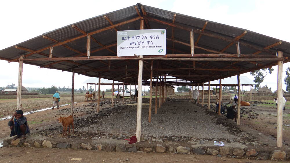 Livestock market shed in Ethiopia