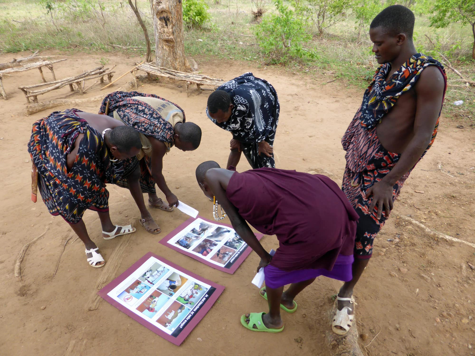 Livestock keepers in Morogoro, Tanzania examine a poster used to obtain informed consent for research