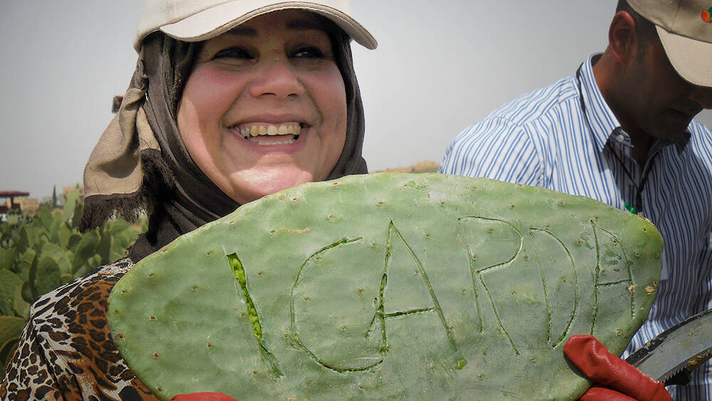 ICARDA's New Video Series on Cactus Pear Production