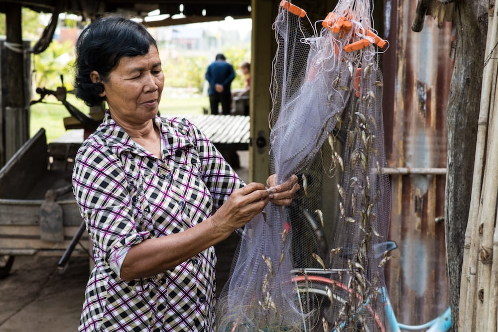 Healthy aquatic food systems for nutrition and livelihoods