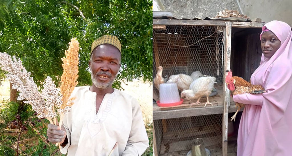 Agriculture remains preferred occupation in rural Nigeria despite pandemic-related challenges