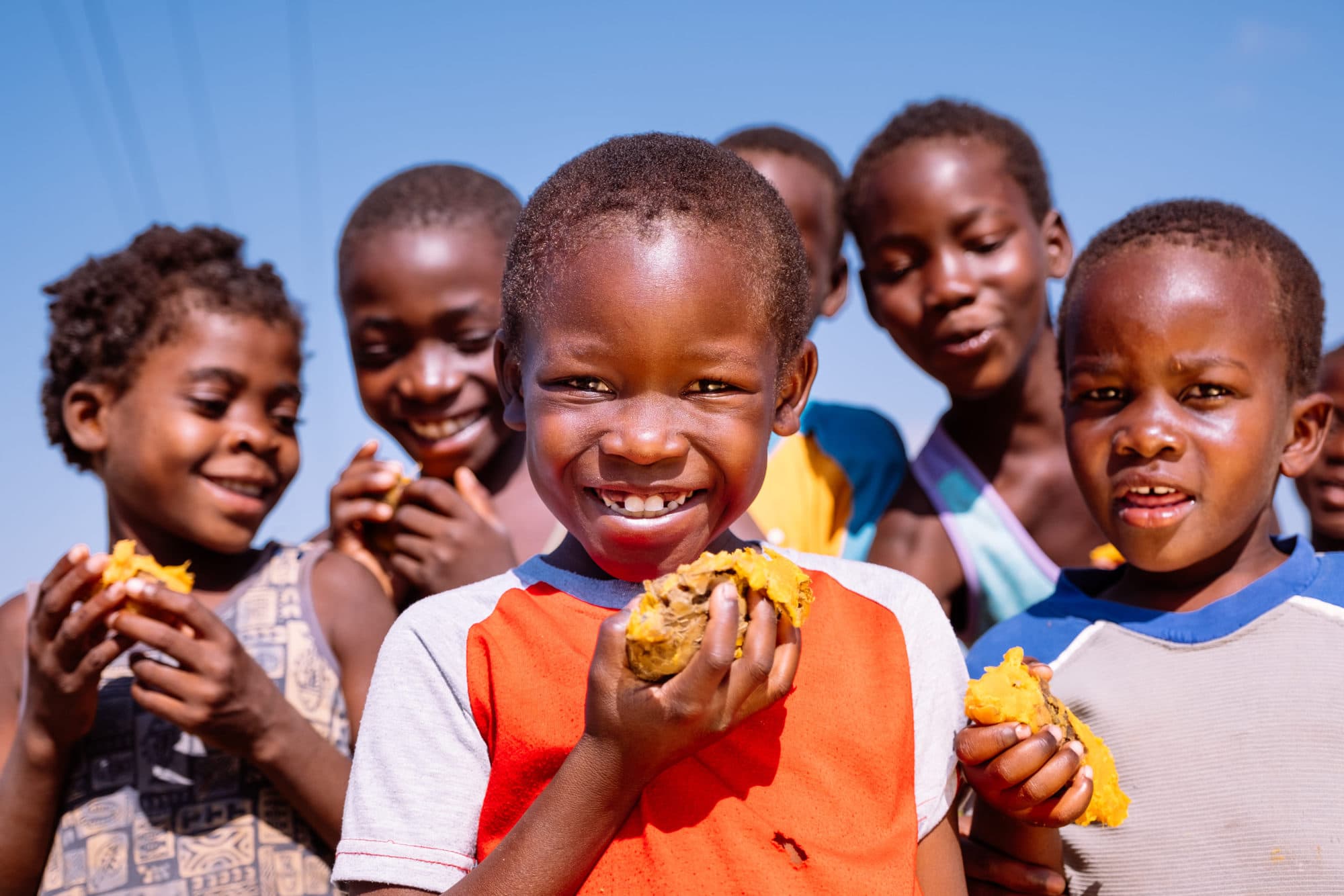 Biofortified orange-fleshed sweetpotato