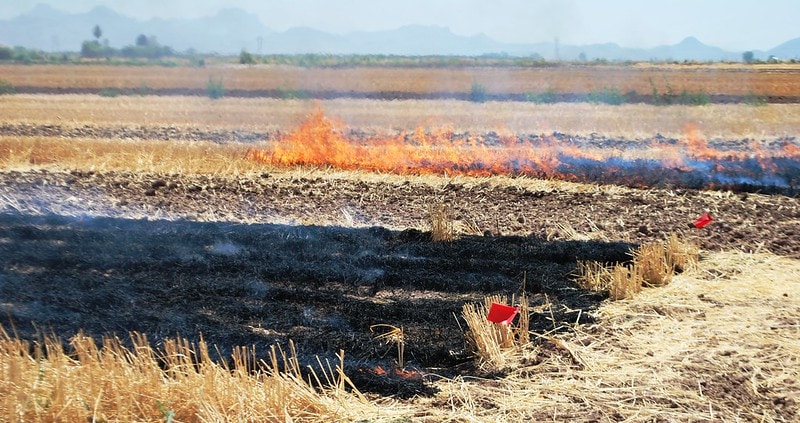 Zero tillage to reduce air pollution in India - CGIAR