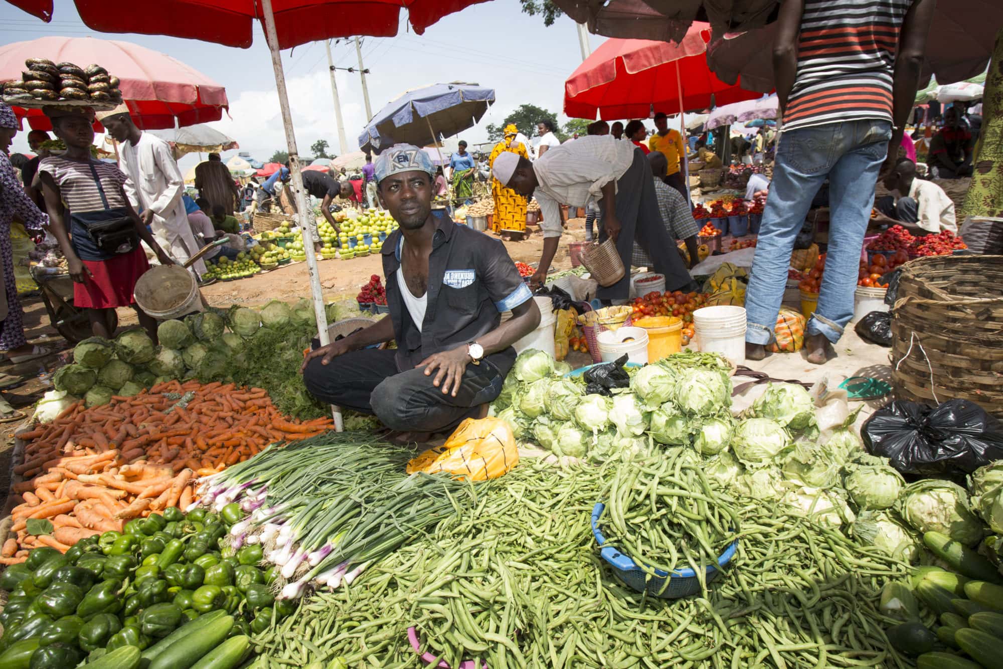 Value Chains for Nutrition framework and project design process