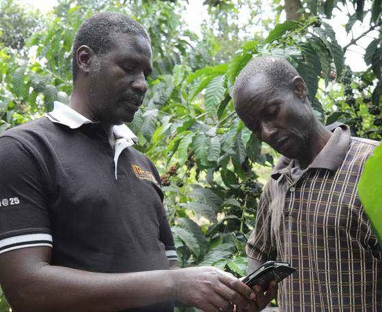 An extension agent showing a farmer how to use the Stepwise Smartphone Application.