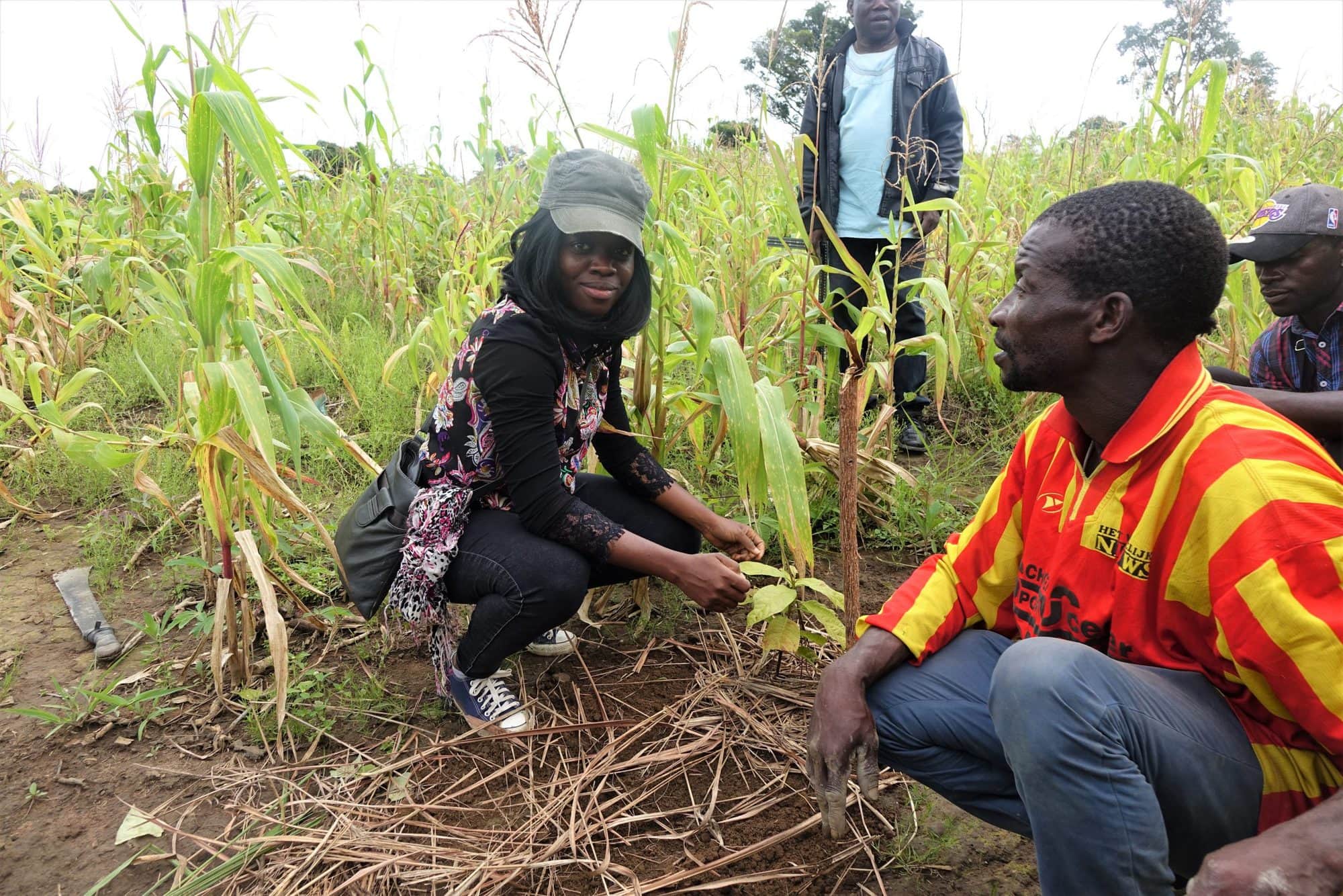 International Day of Women & Girls in Science 2021 – Beyond the Borders ...