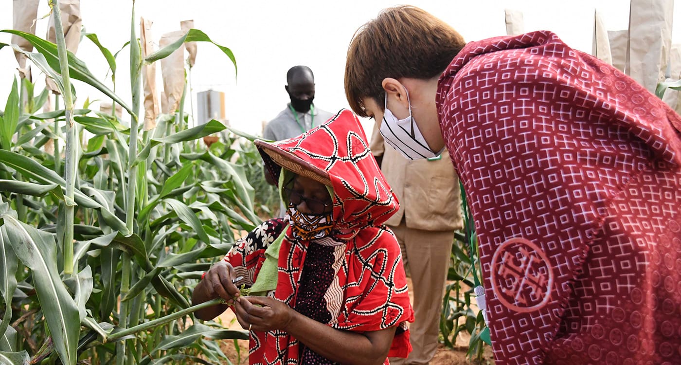 Mrs Sabine Togola, Research Technician (L) and Ms Ioana Albulescu, Team Leader-Green Inclusive Growth, EU Delegation to Mali, during a visit to a sorghum field. Photo: N Diakité, ICRISAT