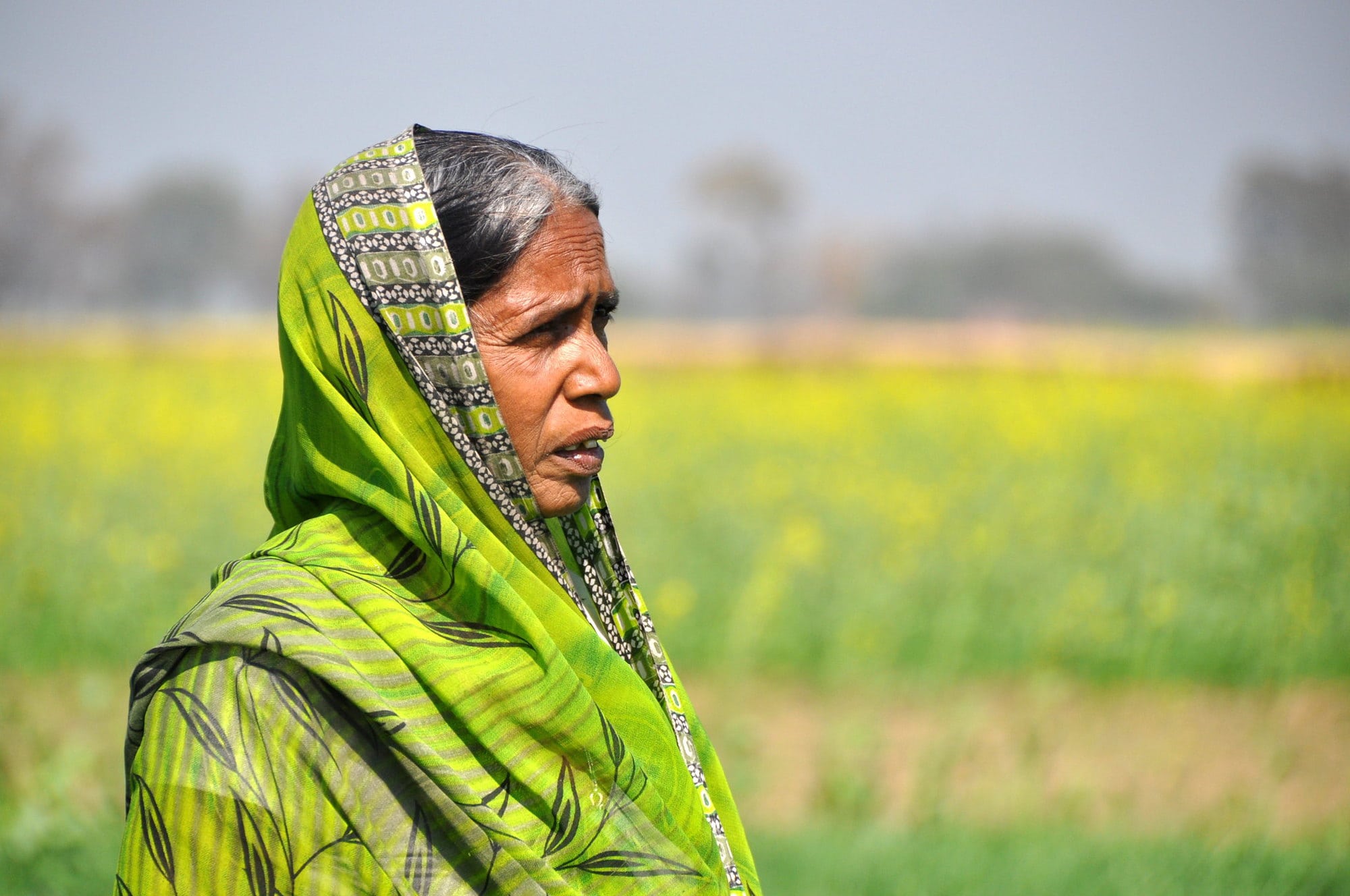 Indian farmer. Photo: CCAFS.