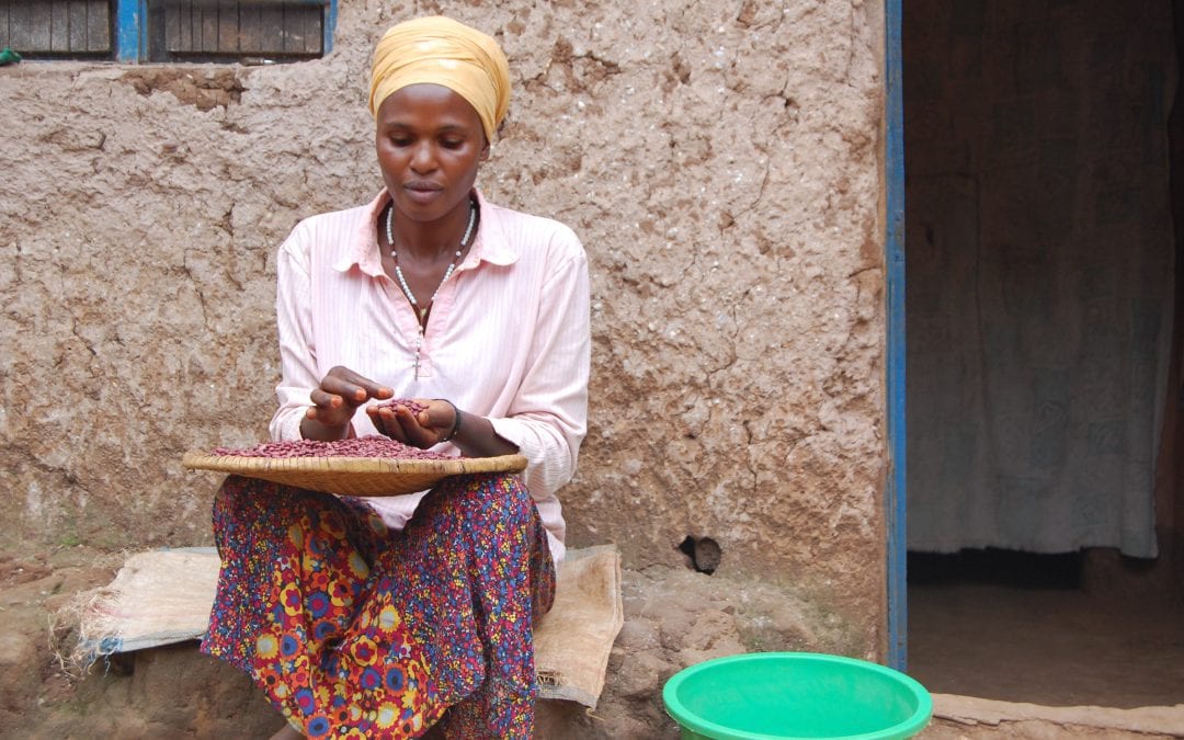 Farmers reaping big benefits from climate information services in Rwanda (PABRA)