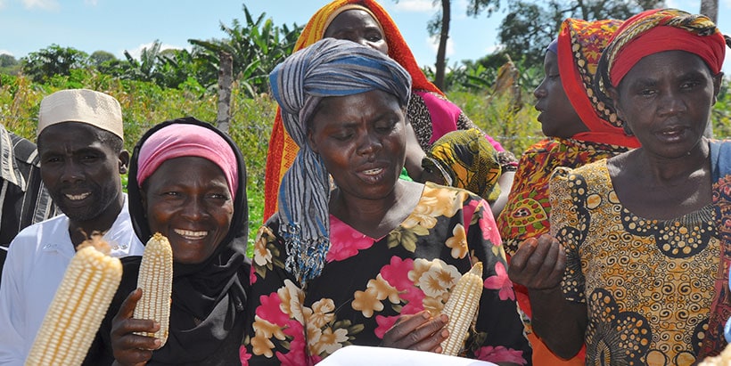 Excited farmers with improved maize varieties.