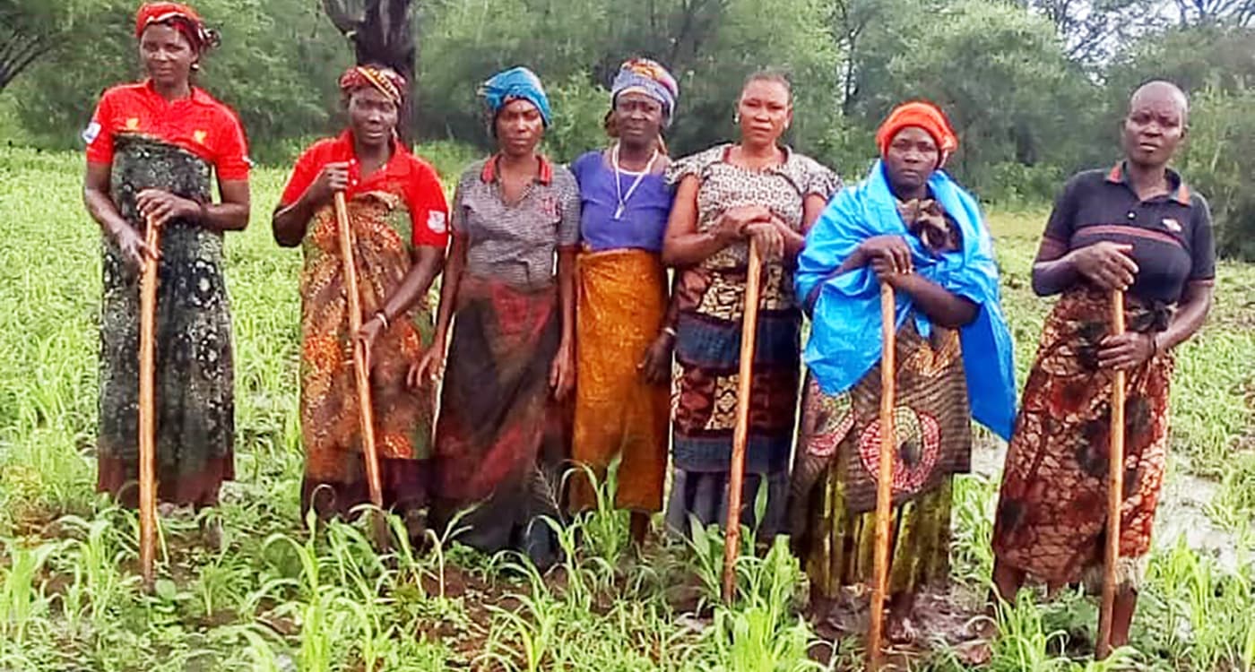 Women seed producers in the sorghum seed farm, Tanzania. Photo: A Mwalughelo, MHEG