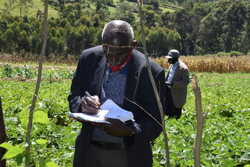 Unlocking the potential of bean production and marketing for improved nutrition and income in Kenya (PABRA)