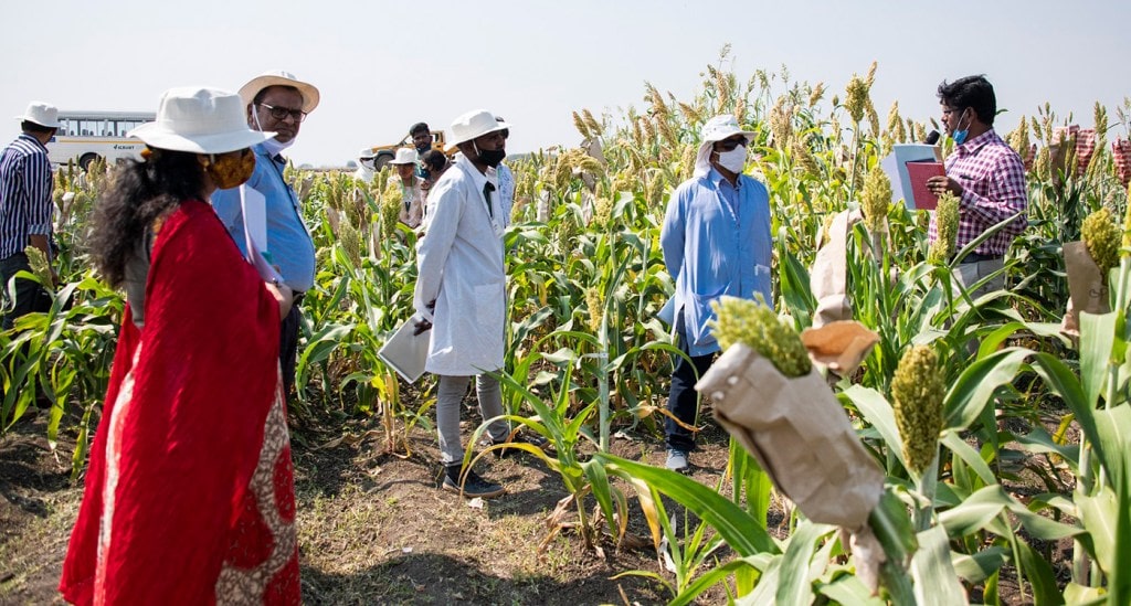 Sorghum scientists from public and private sectors across India gather to share insights on modern breeding technologies
