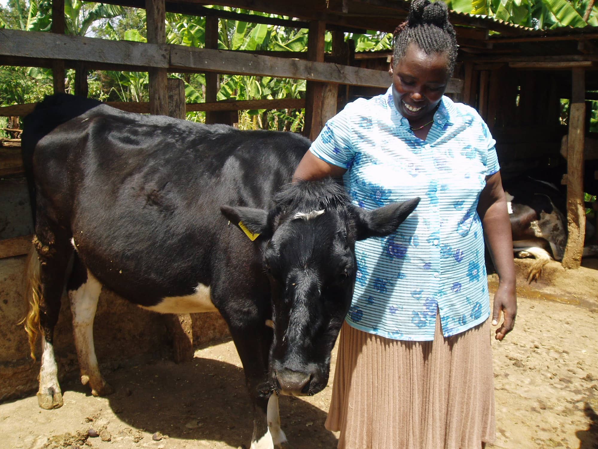 Volunteer Farmer Trainers as agents of change - CGIAR