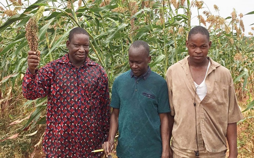 Why youth here aspire to be farmers, the case of Burkina Faso (ICRISAT)