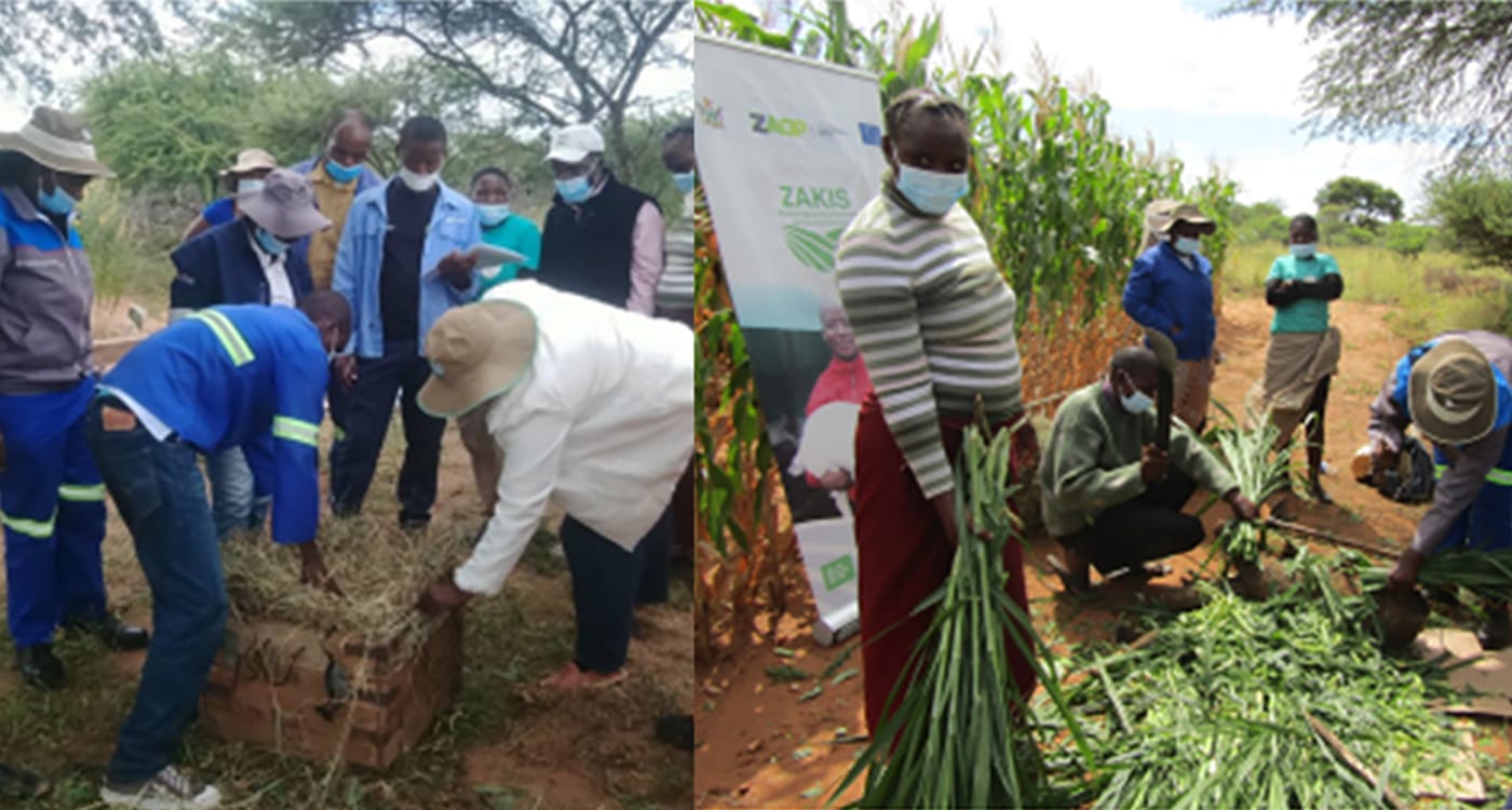 A practical class on haymaking (left) and silage making (right) at Matobo District Agriculture Centre of Excellence. Photo: Farai Dube, ICRISAT