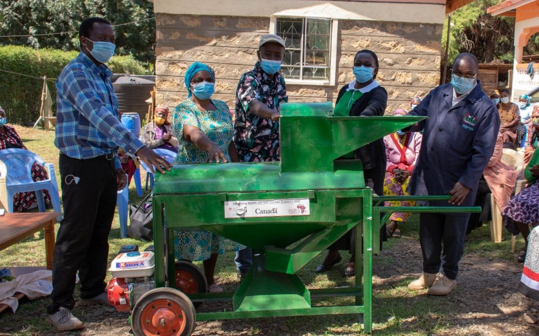 Bean threshers transforming post-harvest and food safety handling in Kenya