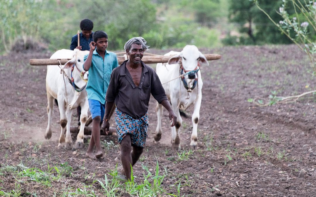 Why are aspirations of farming communities important to know in developing economies?