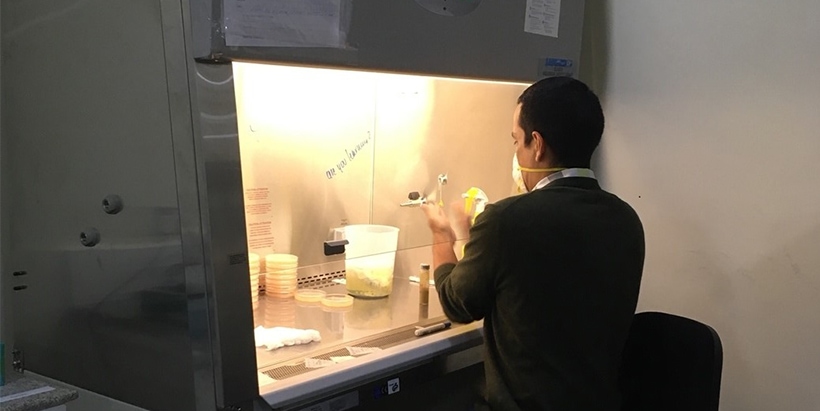 IITA Plant Pathologist Dr Alejandro Ortega-Beltran working on the inoculum to manufacture Aflasafe MZ02 in the Arusha factory.