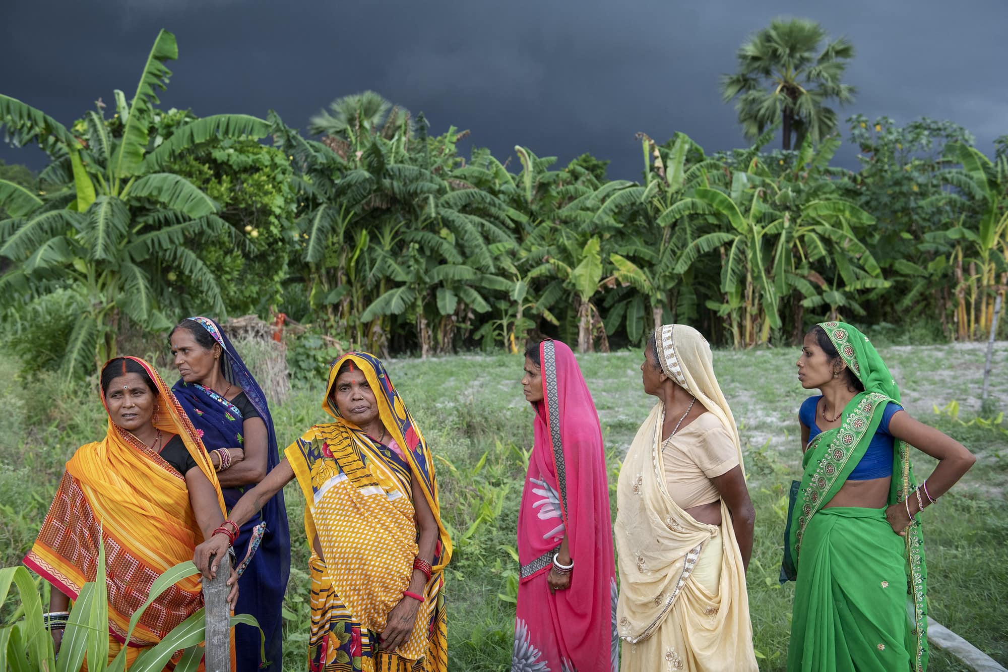 Harnessing Gender and Social Equality for Resilience in Agrifood Systems