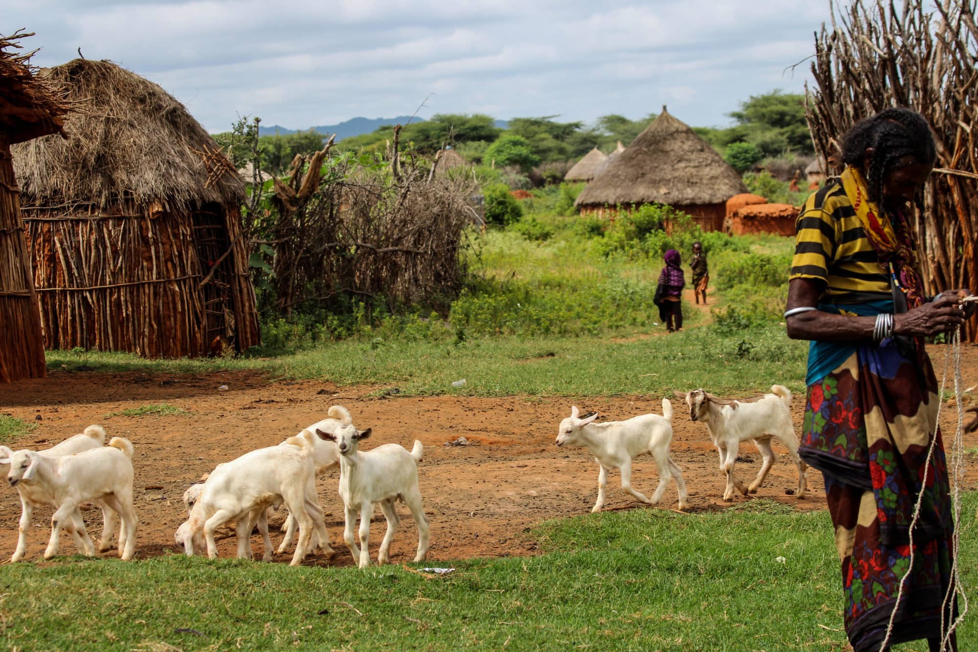 A Borana woman with her small ruminants, Yabello, Ethiopia (photo credit: ILRI/Camille Hanotte)