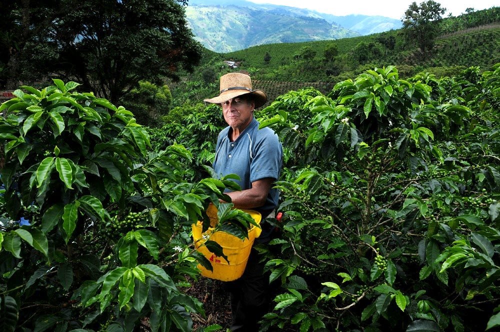 Dark markets colombia