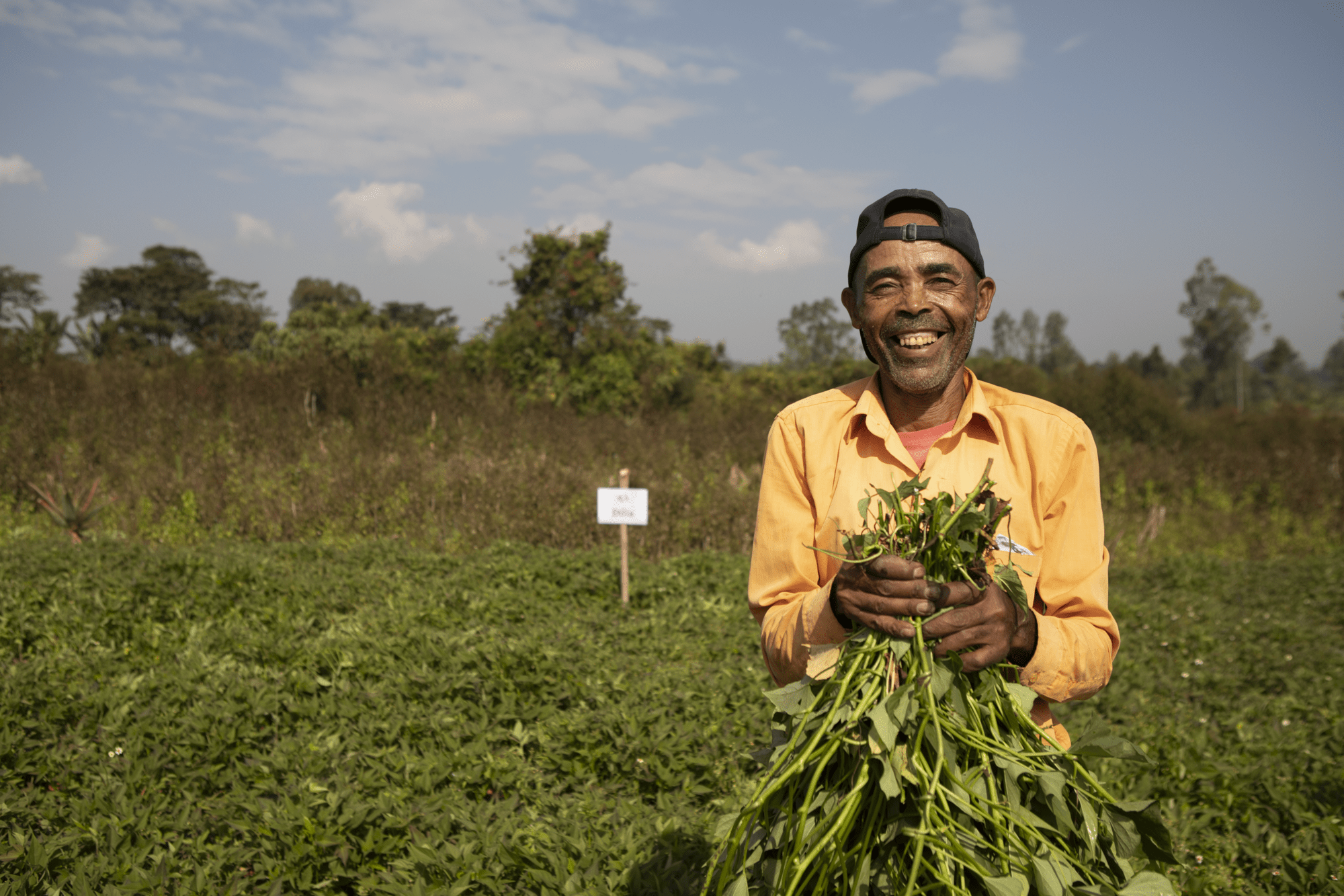 mixed crop and livestock farming