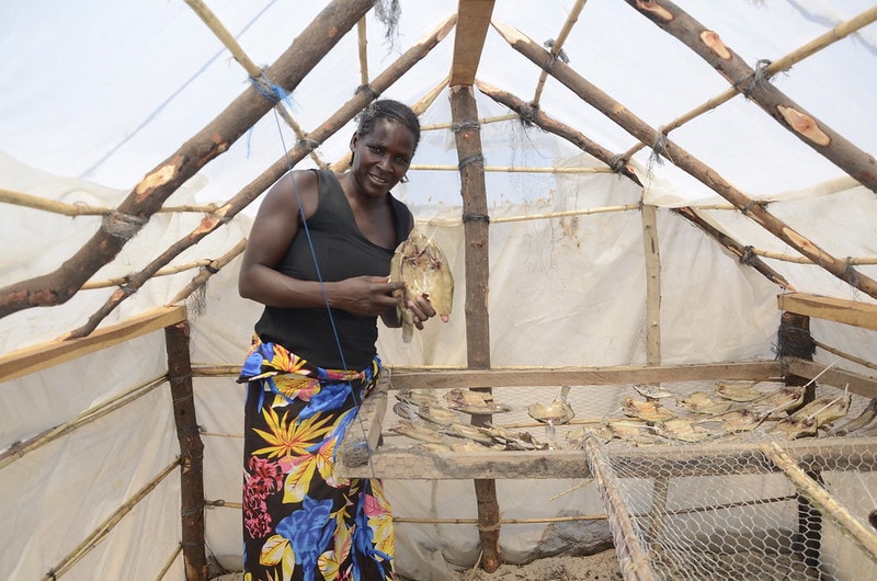 A woman processor holds dried fish in a solar tent dryer in Senanga District, Zambia. Photo by Olek Kaminski.