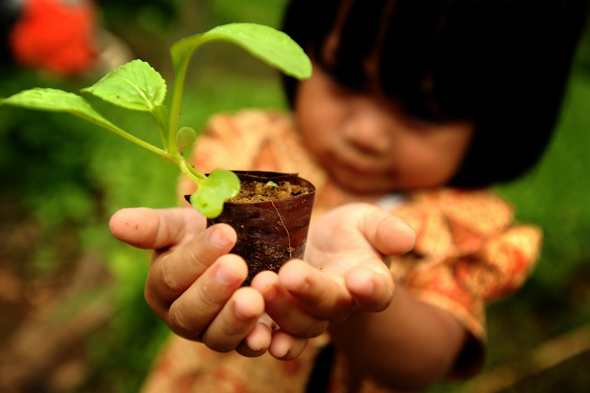 Foresight and Metrics to Accelerate Inclusive and Sustainable Agrifood System Transformation