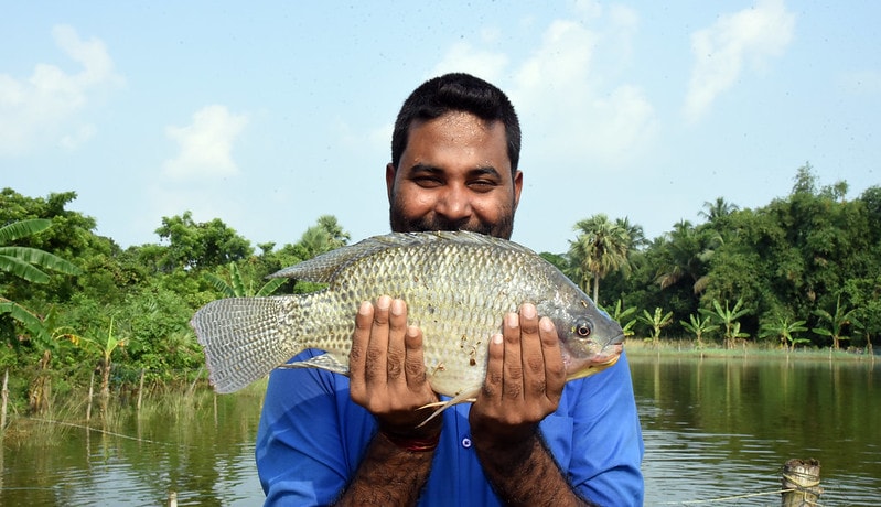 A fish farmer poses with his genetically-improved tilapia in Odisha, India. Photo by Arabinda Mahapatra.