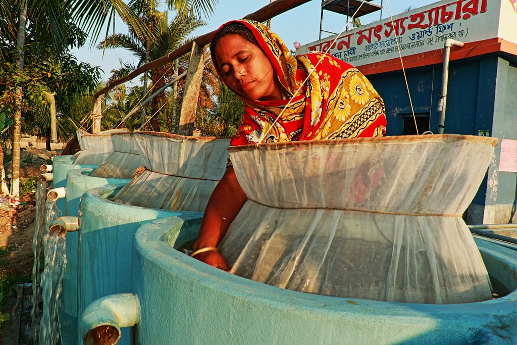 Bina Majhi runs a successful fish hatchery business with her husband in Hajipur village, Patuakhali district, Bangladesh. Photo: AWM Anisuzzaman/WorldFish.