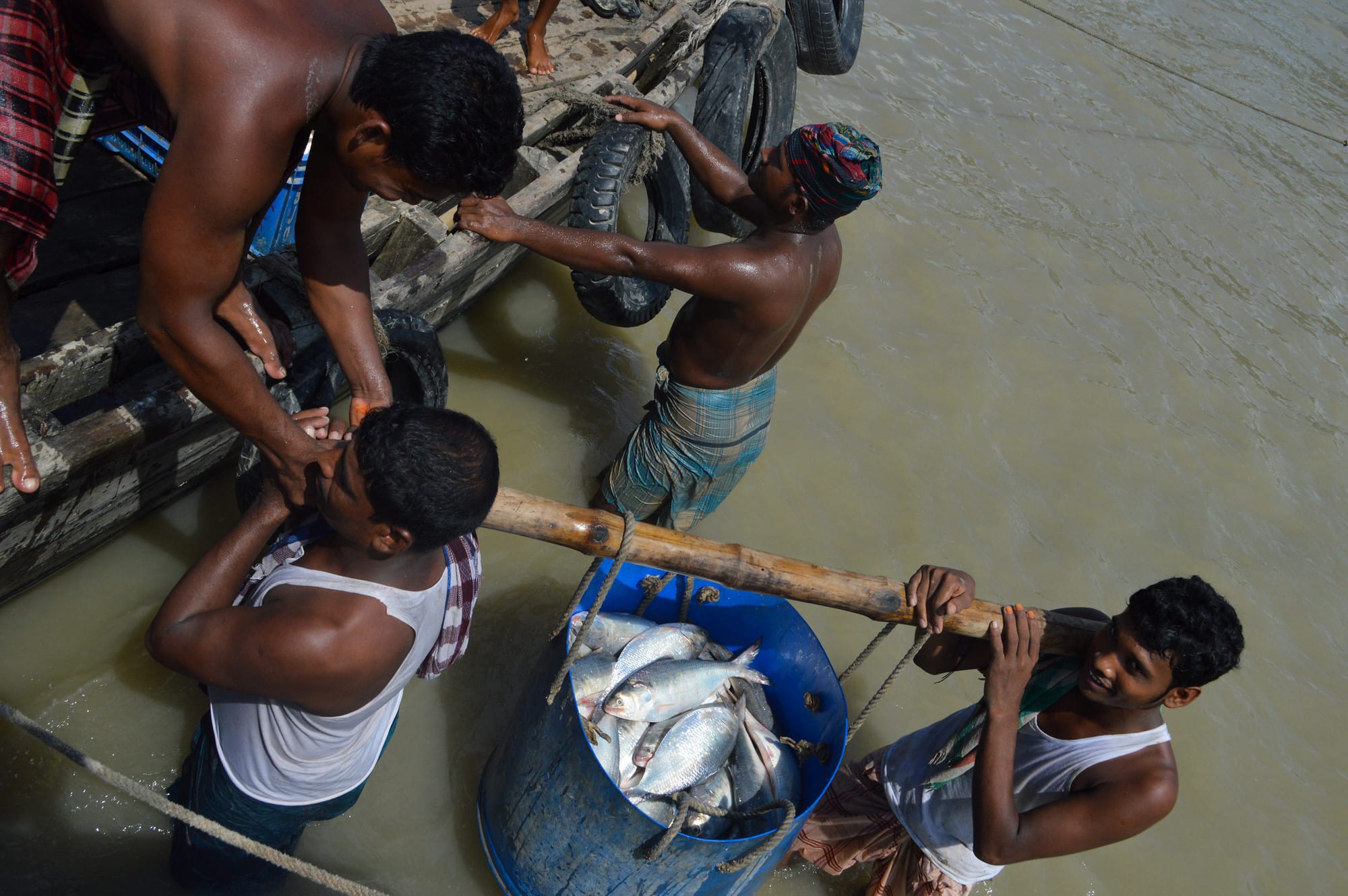 Resilient Aquatic Food Systems for Healthy People and Planet