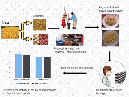 Graphical abstract summarizing the study.