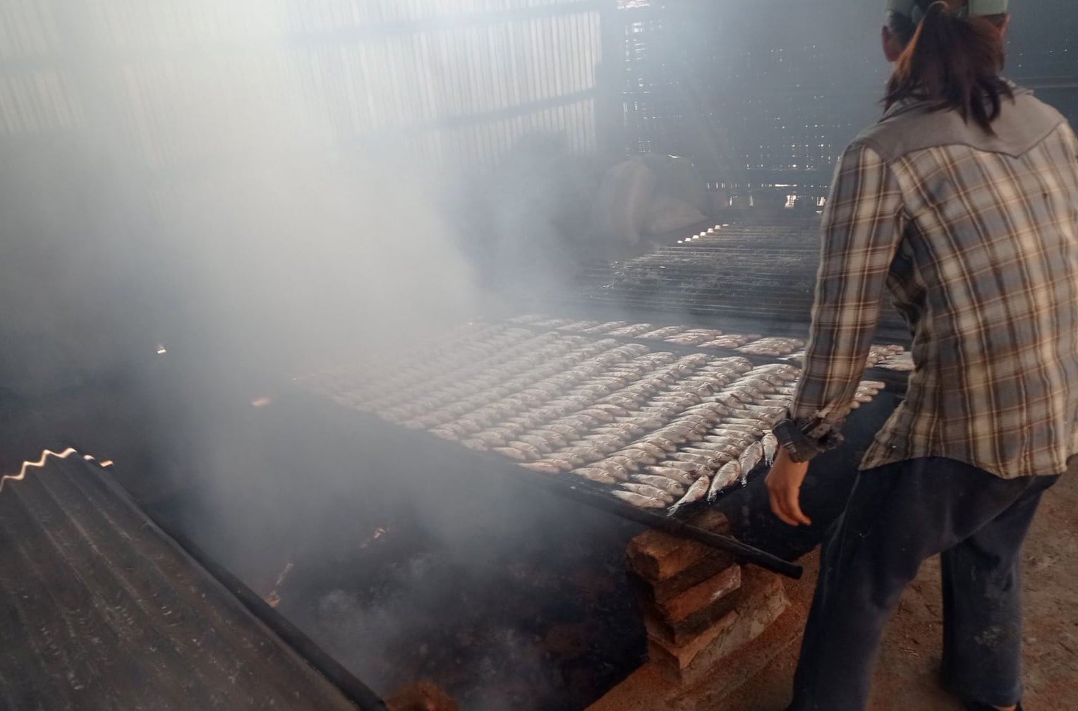 Smoking rohu fish using the FTT. Photo by Yu Muang.