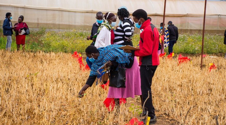 Inclusion, a key ingredient to Gender-Responsive Participatory Varietal Selection