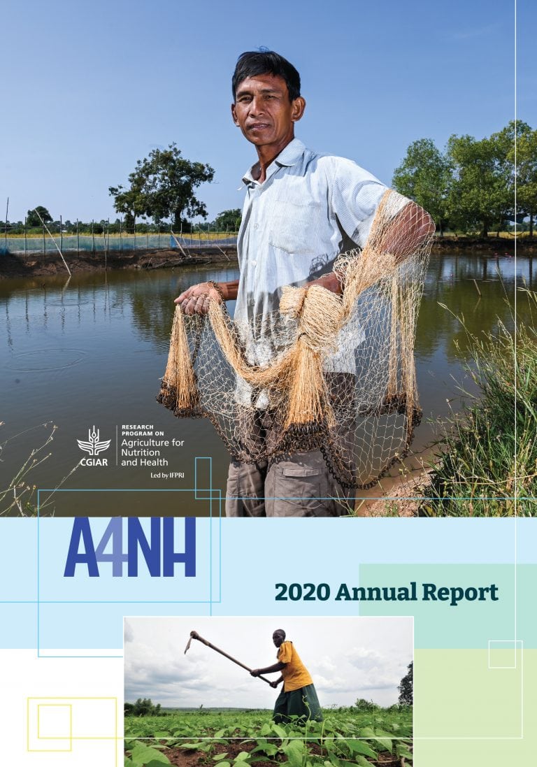 A4NH 2020 annual report cover