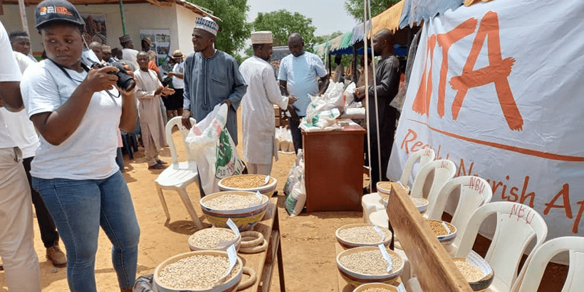 The IITA-Kano Station exhibition showcasing improved seeds.