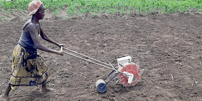 A female farmer using the HPLS to plant Soybean.